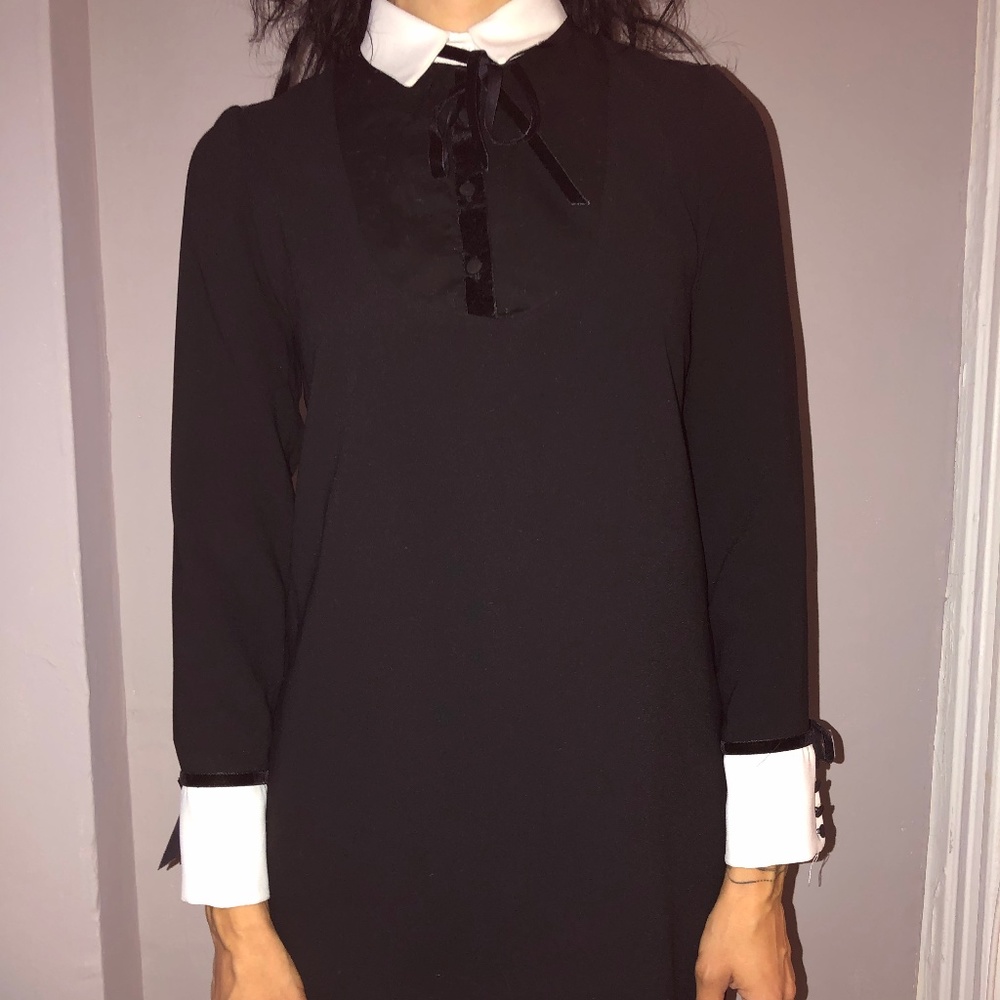 Zara Collared Mini Dress with Velvet Buttons